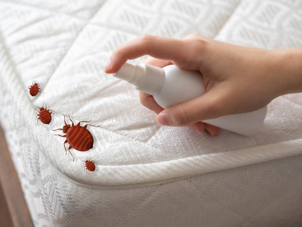 Best Pest Prevention Services  in De Pue, IL